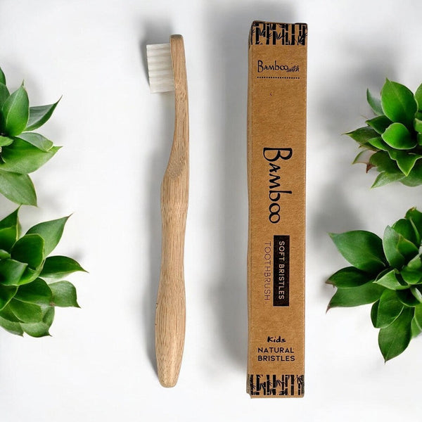 A bamboo toothbrush with light natural bristles stands upright next to its brown kraft paper packaging box, styled with green succulent plants on a white background.