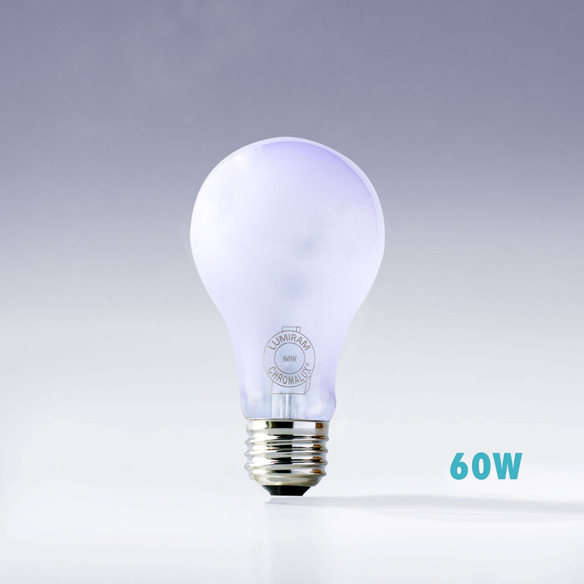 Frosted Chromalux® Full Spectrum 60W Incandescent Light Bulb Main image