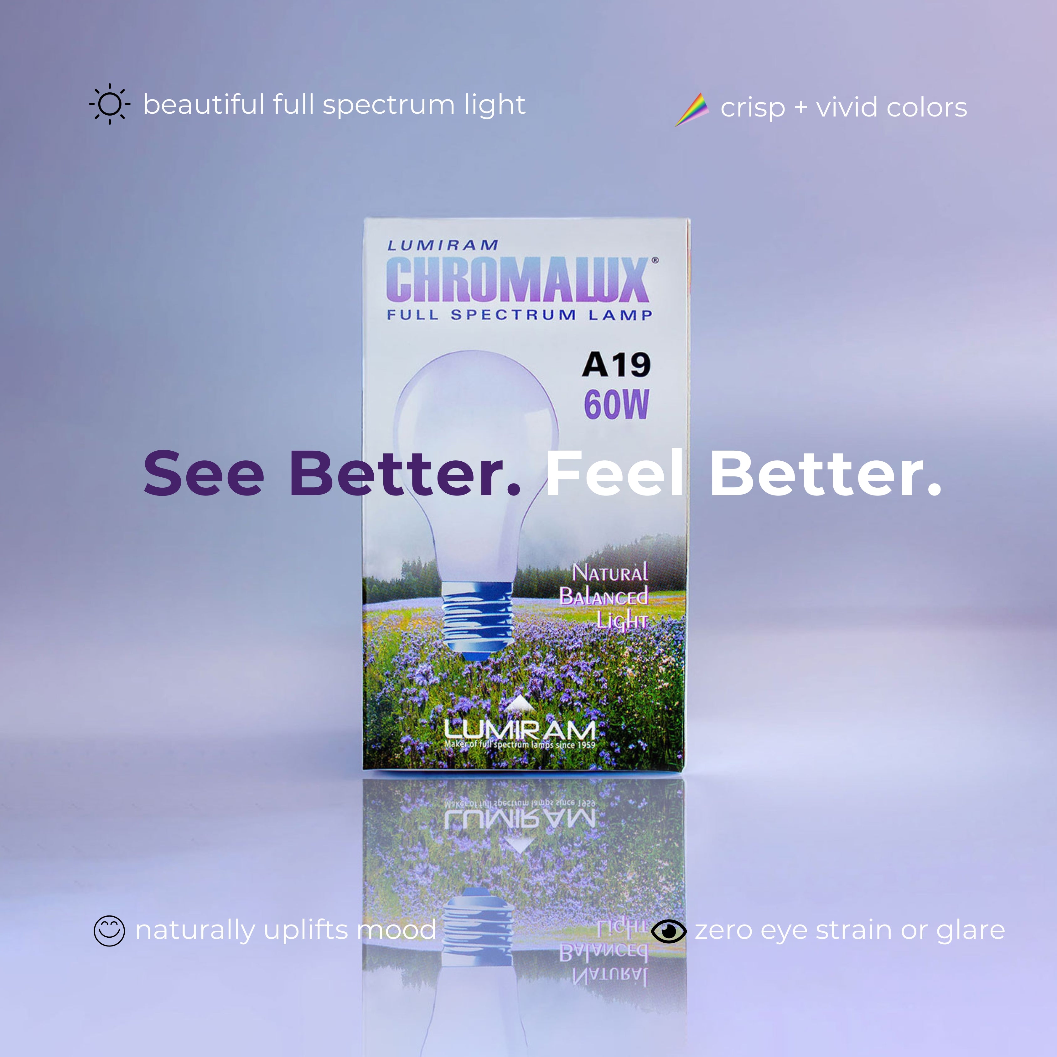 A19 / 60W Chromalux® Full Spectrum Light Bulb Secondary image