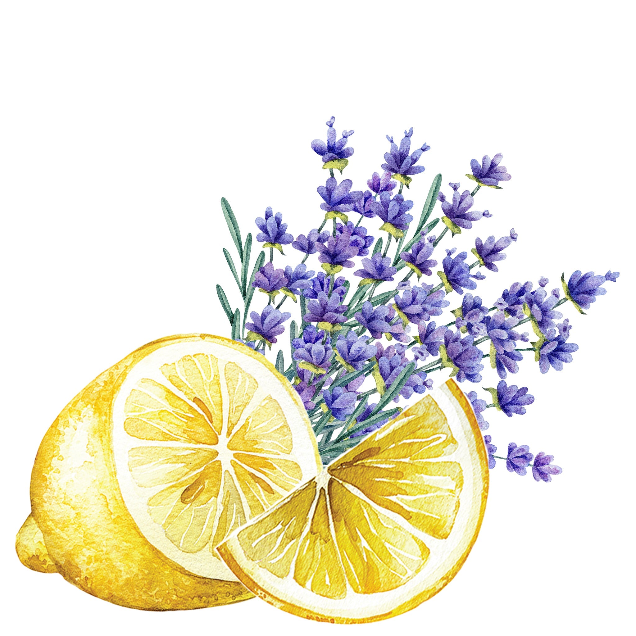 Lots of Purpose Spray Cleaner Lavender & Lemon Scent Secondary image