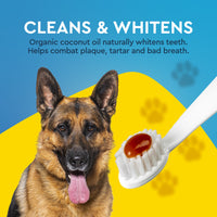 Dog with a toothbrush and organic coconut oil product against a blue and yellow background