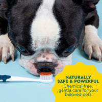 Dog with a toothbrush on a blue background, promoting naturally safe pet care products.