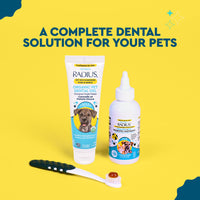 A pet dental care set on a bright yellow background with the text 'A COMPLETE DENTAL SOLUTION FOR YOUR PETS'. The set includes a tube of Radius Organic Pet Dental Gel, a bottle of Radius Periodontal Enzymes, a black and white pet toothbrush, and a small toothbrush with a red toothpaste cap.