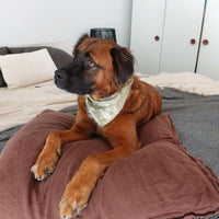 Tilley + Me Natural Dye Bandanas for Pets and Humans – Limited Edition, Soft & Stylish