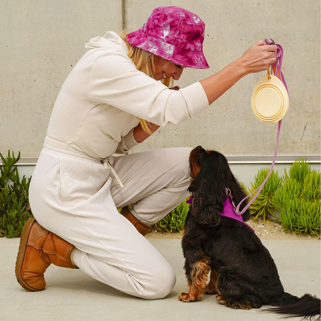 Tilley + Me Collapsible Double Pet Bowl – Lightweight & Portable for Travel Secondary image