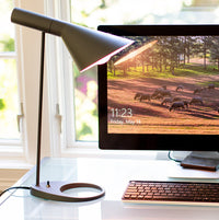 A19 / 60W Chromalux® Full Spectrum Light Bulb