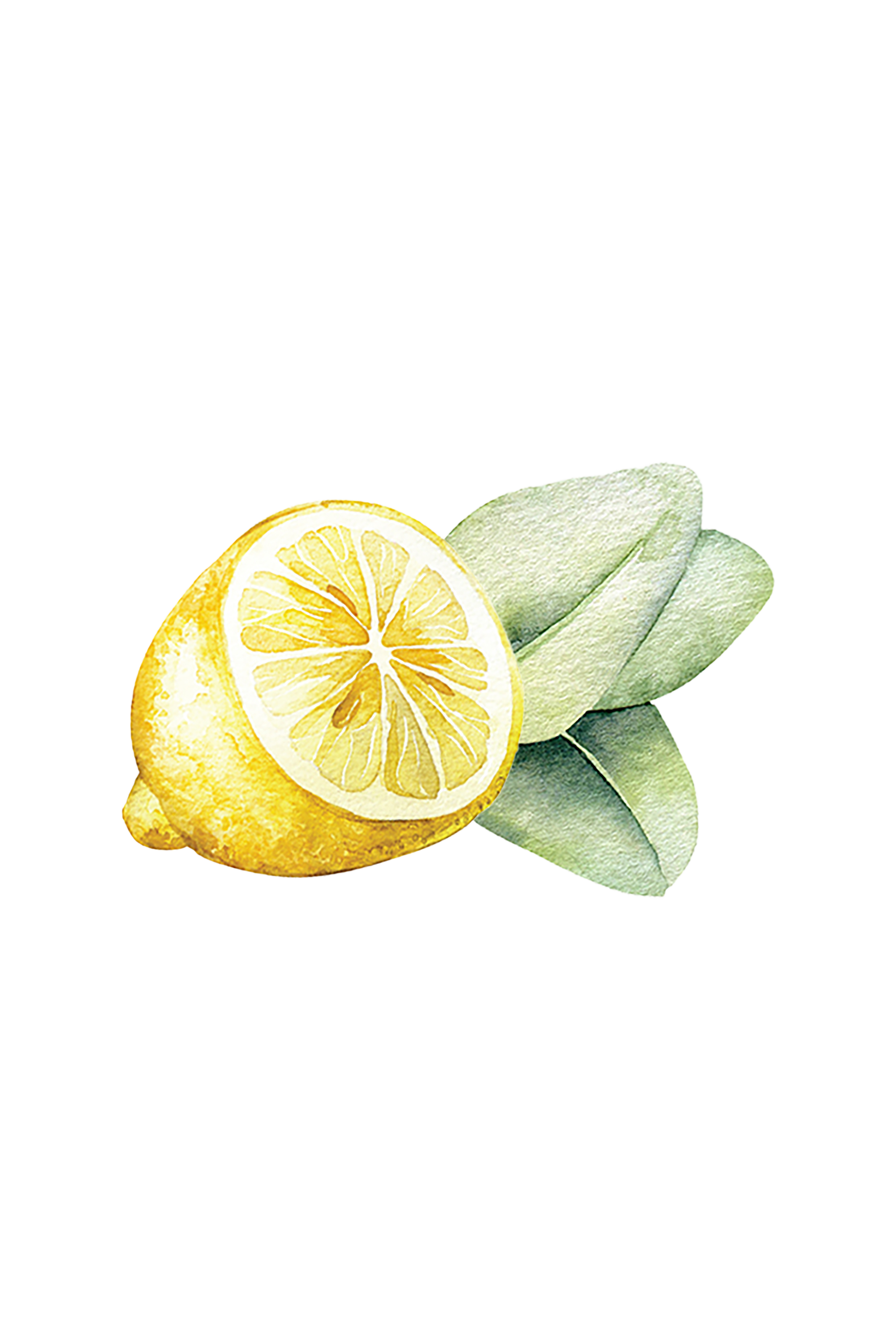 Dish Soap Lemon & Eucalyptus Scent Secondary image